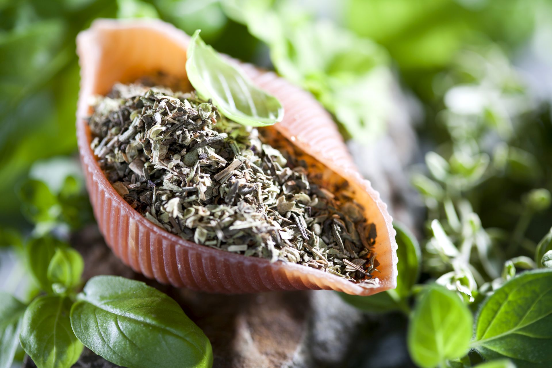 Italian herbs mix UBENA Spices